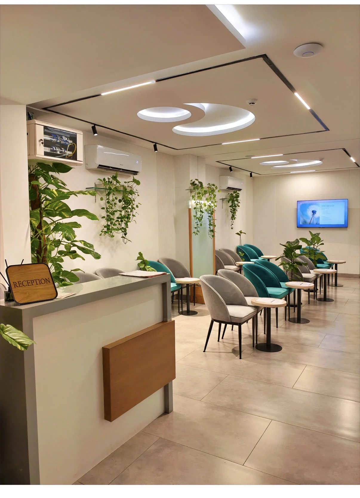 The real LIFE PLUS waiting lounge with plants and comfortable seating