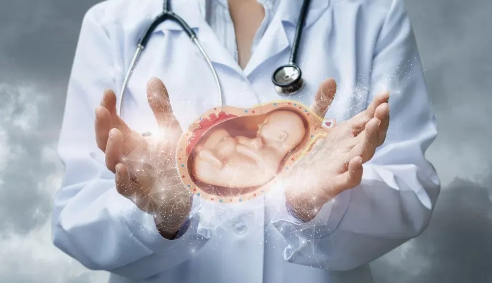 Fertility Treatment