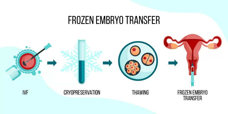 Frozen Embryo Transfer (FET)