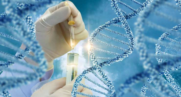 Genetics