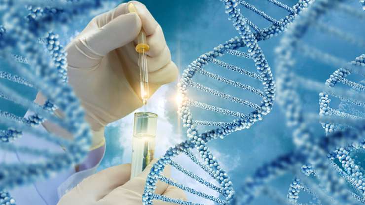 Genetics